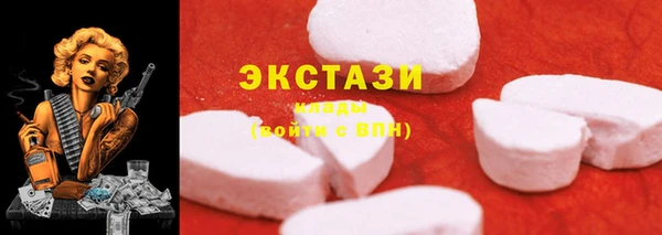 стаф Алексин