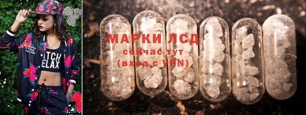 стаф Алексин
