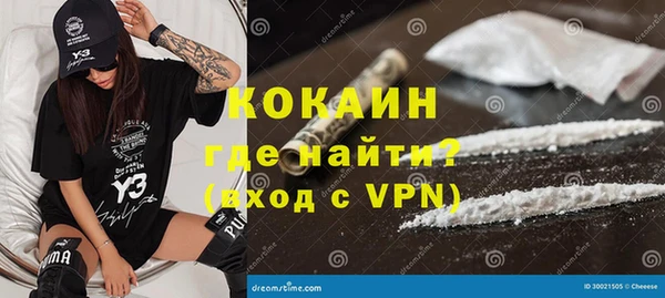 стаф Алексин