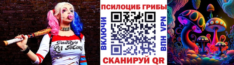 цена   Шиханы  Псилоцибиновые грибы ЛСД 